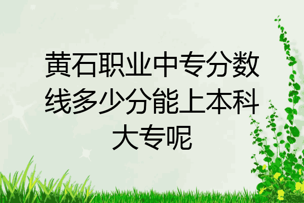 黄石职业中专分数线多少分能上本科大专呢