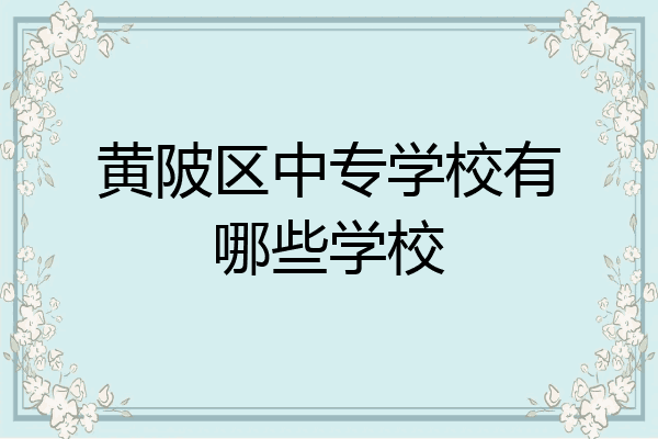 黄陂区中专学校有哪些学校