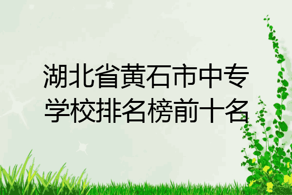 湖北省黄石市中专学校排名榜前十名