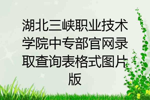 湖北三峡职业技术学院中专部官网录取查询表格式图片版