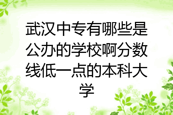 武汉中专有哪些是公办的学校啊分数线低一点的本科大学