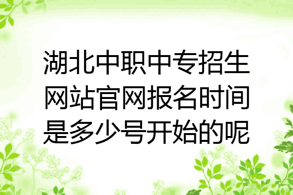 湖北中职中专招生网站官网报名时间是多少号开始的呢