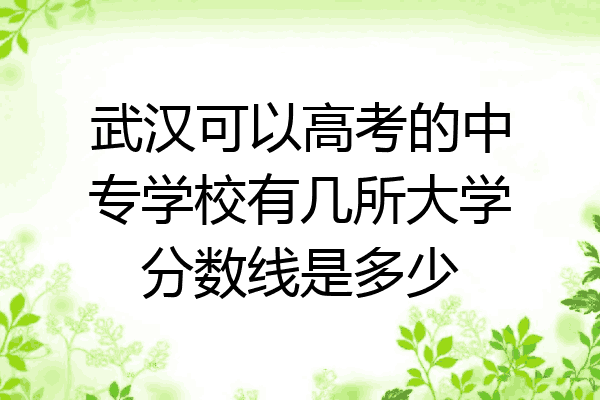 武汉可以高考的中专学校有几所大学分数线是多少
