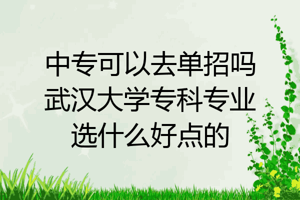 中专可以去单招吗武汉大学专科专业选什么好点的