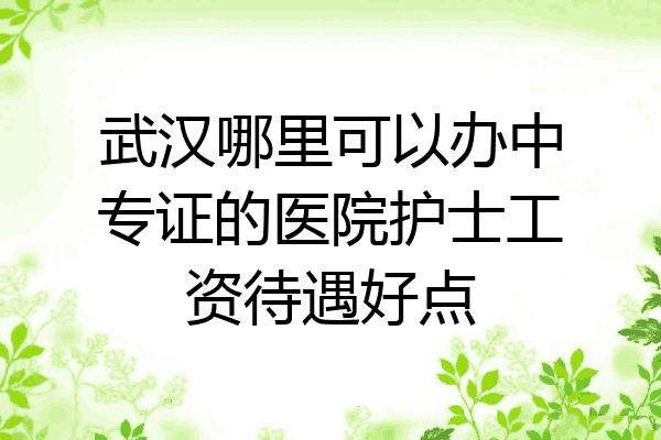 武汉哪里可以办中专证的医院护士工资待遇好点
