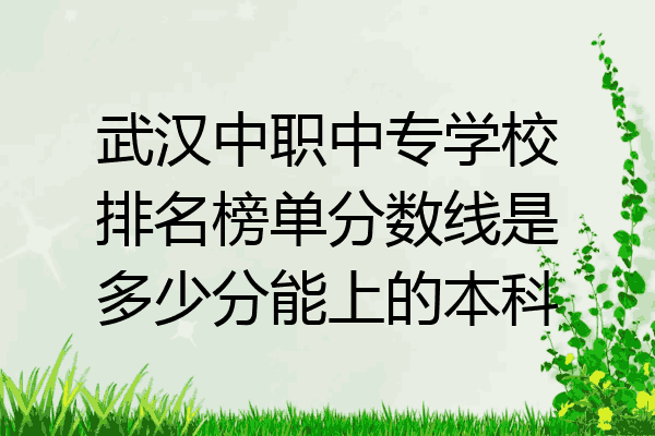 武汉中职中专学校排名榜单分数线是多少分能上的本科