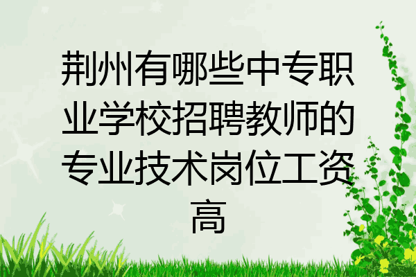 荆州有哪些中专职业学校招聘教师的专业技术岗位工资高