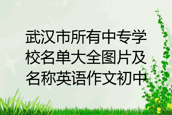 武汉市所有中专学校名单大全图片及名称英语作文初中