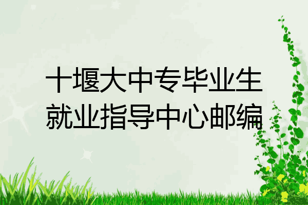 十堰大中专毕业生就业指导中心邮编