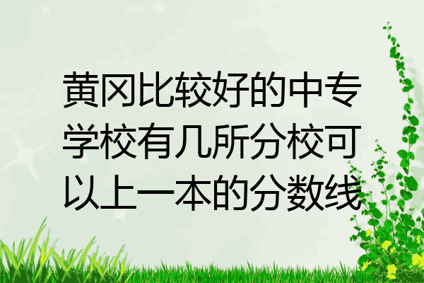 黄冈比较好的中专学校有几所分校可以上一本的分数线