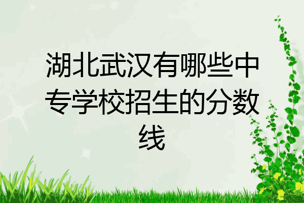 湖北武汉有哪些中专学校招生的分数线