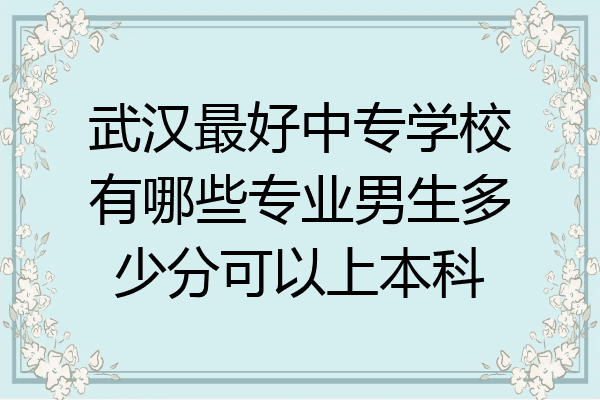 武汉最好中专学校有哪些专业男生多少分可以上本科