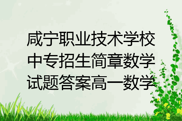 咸宁职业技术学校中专招生简章数学试题答案高一数学