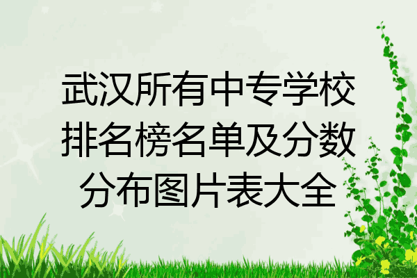 武汉所有中专学校排名榜名单及分数分布图片表大全