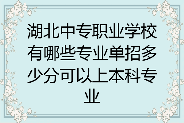 湖北中专职业学校有哪些专业单招多少分可以上本科专业