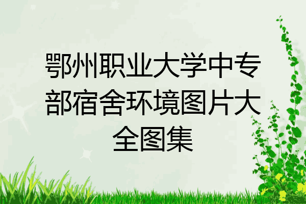 鄂州职业大学中专部宿舍环境图片大全图集