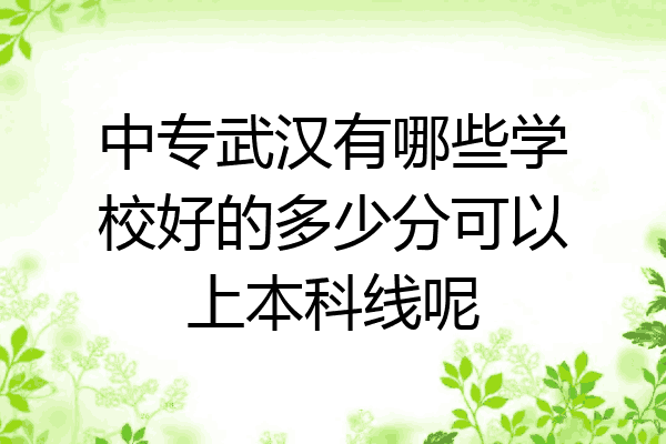 中专武汉有哪些学校好的多少分可以上本科线呢