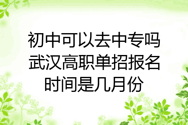 初中可以去中专吗武汉高职单招报名时间是几月份