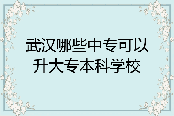 武汉哪些中专可以升大专本科学校