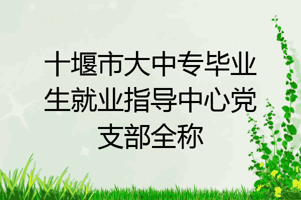 十堰市大中专毕业生就业指导中心党支部全称