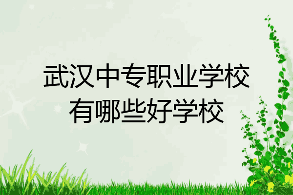 武汉中专职业学校有哪些好学校