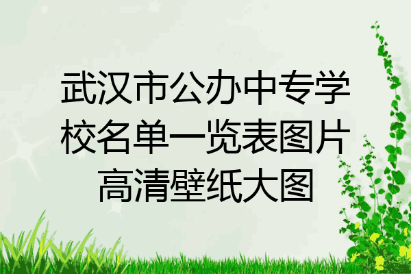 武汉市公办中专学校名单一览表图片高清壁纸大图