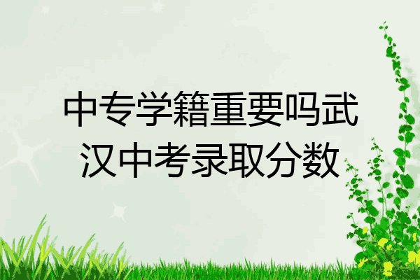 中专学籍重要吗武汉中考录取分数