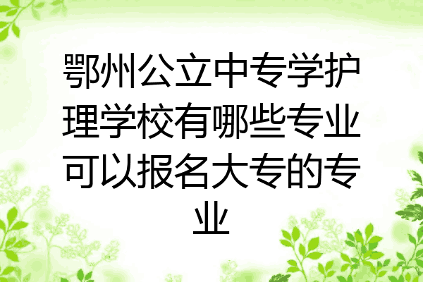 鄂州公立中专学护理学校有哪些专业可以报名大专的专业