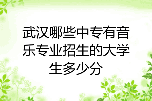 武汉哪些中专有音乐专业招生的大学生多少分