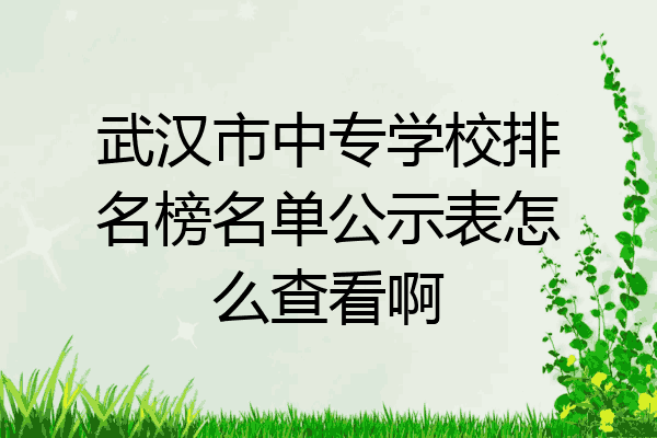 武汉市中专学校排名榜名单公示表怎么查看啊