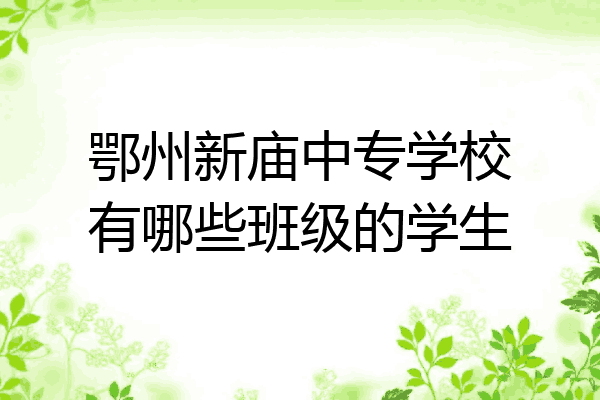 鄂州新庙中专学校有哪些班级的学生