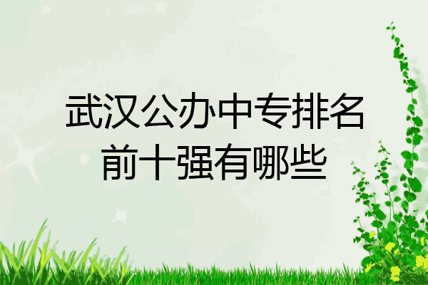 武汉公办中专排名前十强有哪些