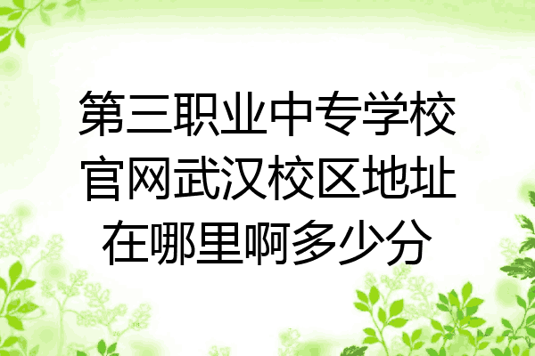 第三职业中专学校官网武汉校区地址在哪里啊多少分