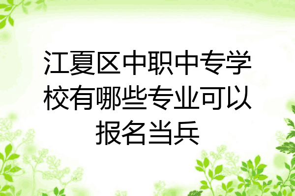 江夏区中职中专学校有哪些专业可以报名当兵