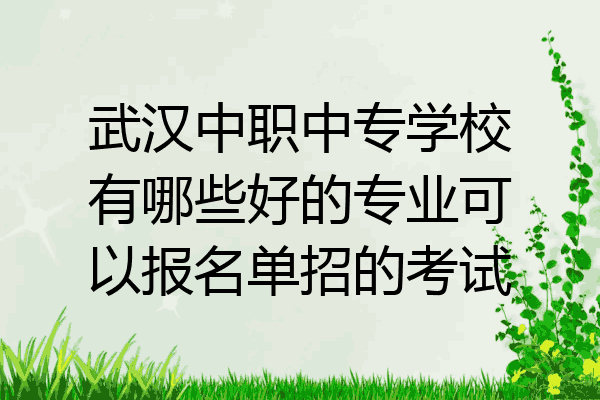 武汉中职中专学校有哪些好的专业可以报名单招的考试