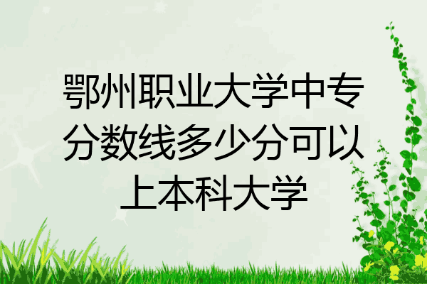 鄂州职业大学中专分数线多少分可以上本科大学