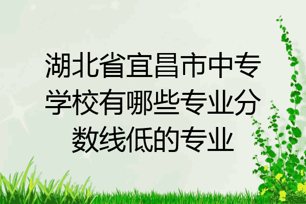 湖北省宜昌市中专学校有哪些专业分数线低的专业