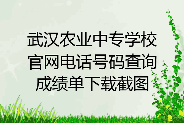 武汉农业中专学校官网电话号码查询成绩单下载截图
