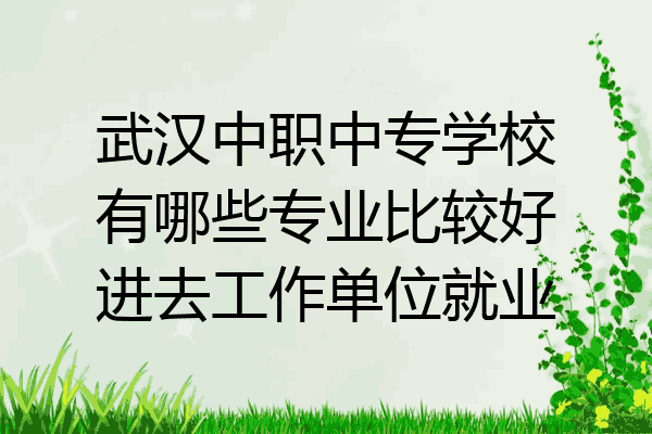 武汉中职中专学校有哪些专业比较好进去工作单位就业