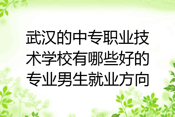 武汉的中专职业技术学校有哪些好的专业男生就业方向