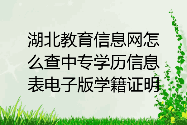 湖北教育信息网怎么查中专学历信息表电子版学籍证明