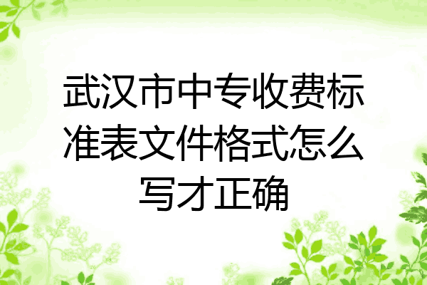 武汉市中专收费标准表文件格式怎么写才正确