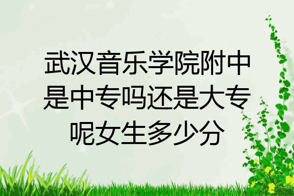 武汉音乐学院附中是中专吗还是大专呢女生多少分