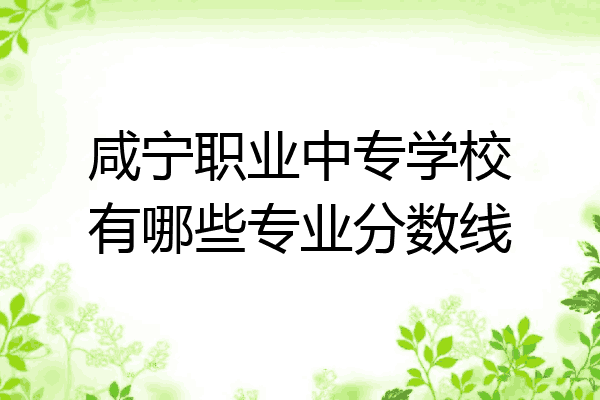 咸宁职业中专学校有哪些专业分数线