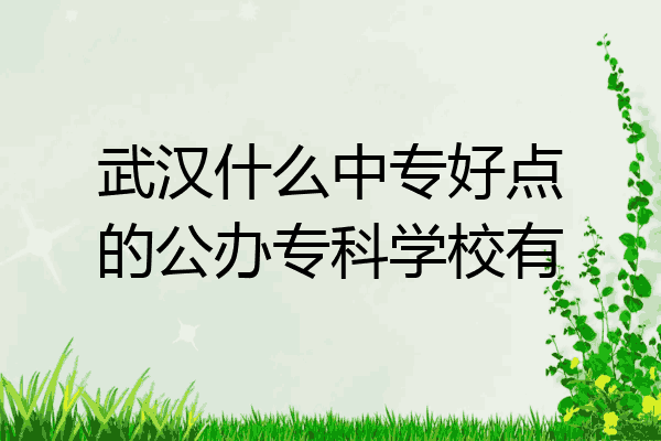 武汉什么中专好点的公办专科学校有