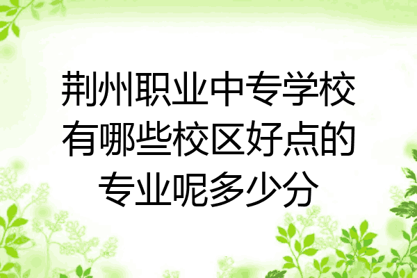 荆州职业中专学校有哪些校区好点的专业呢多少分