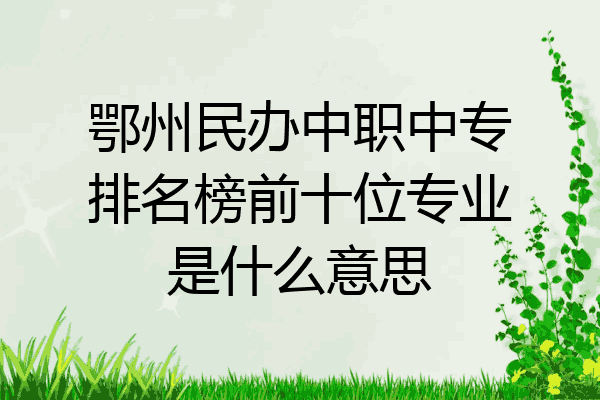 鄂州民办中职中专排名榜前十位专业是什么意思