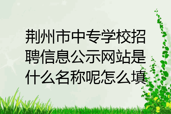 荆州市中专学校招聘信息公示网站是什么名称呢怎么填