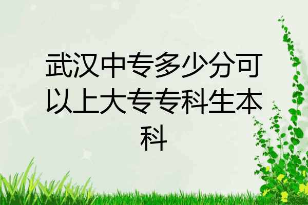 武汉中专多少分可以上大专专科生本科