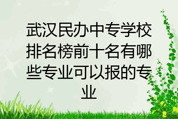 武汉民办中专学校排名榜前十名有哪些专业可以报的专业